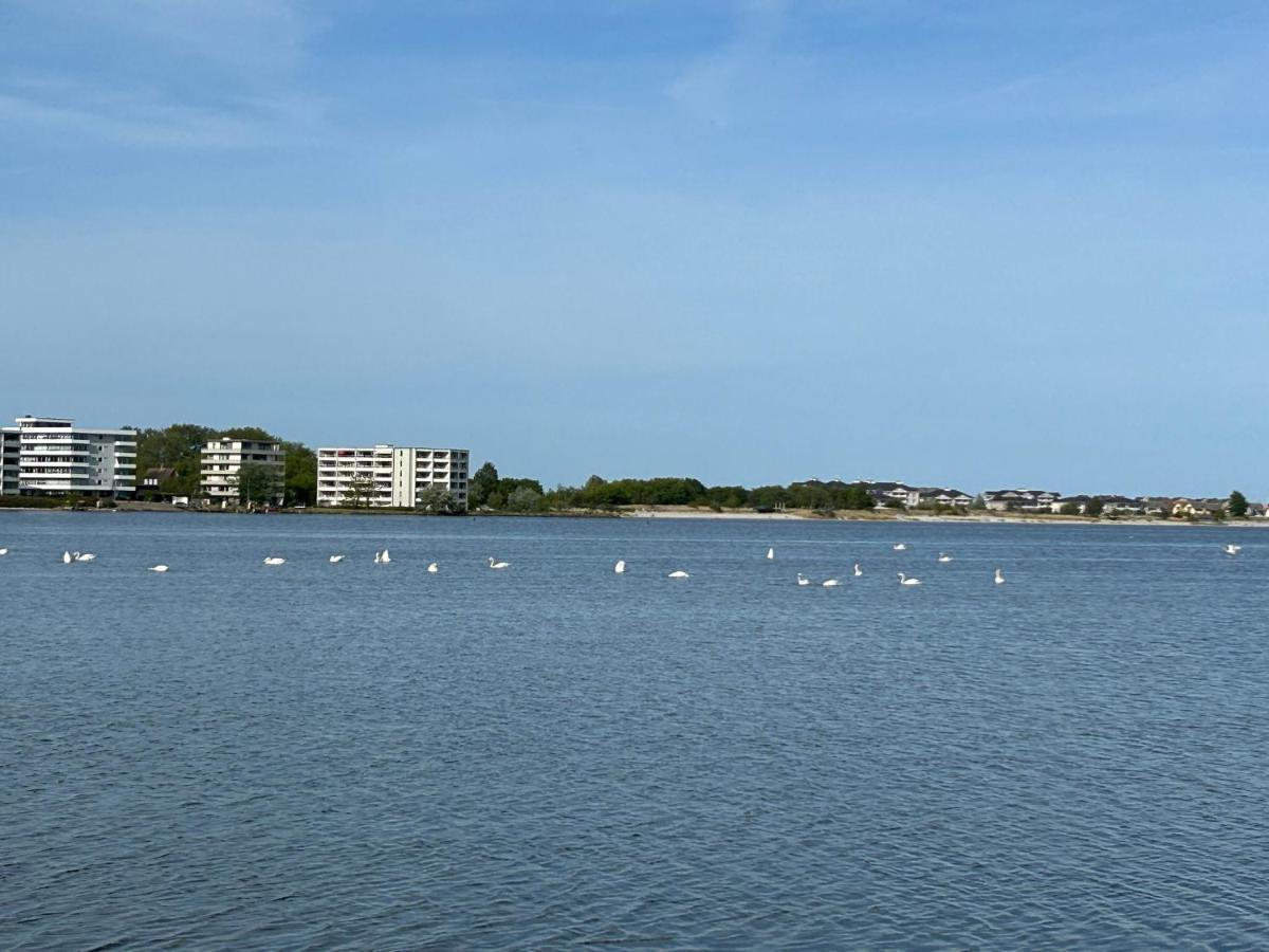 Wasserblick, In 3 Min Am Strand 海利根港 外观 照片